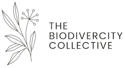 The BiodiverCity Collective