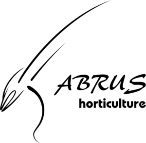 Abrus Horticulture